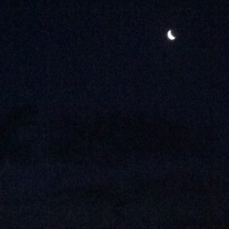 pierrot la lune